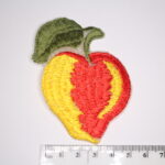 Apple sew on patch